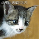 canal8의 이미지